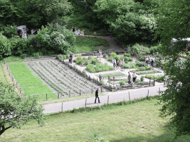 Aperçu du jardin