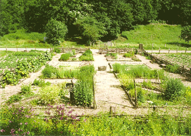 Carte postale du jardin